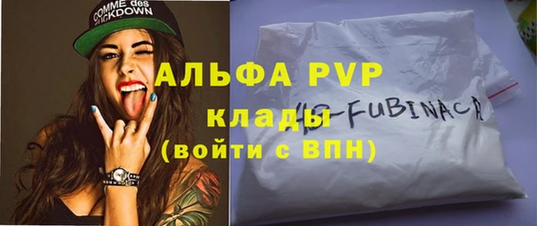 гидра Чегем