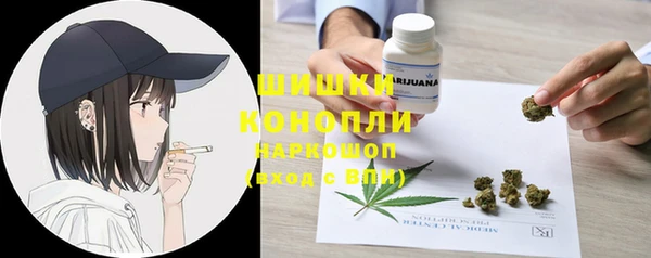 тгк Вяземский