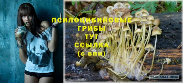 a pvp Вязники