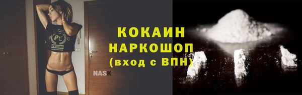 прущие грибы Горно-Алтайск
