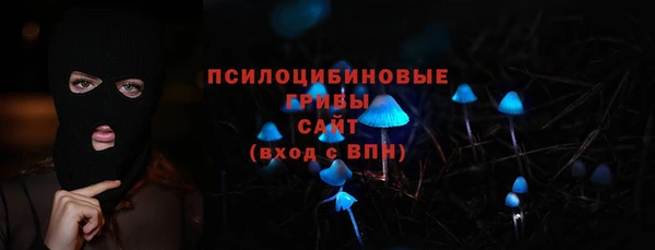 прущие грибы Горно-Алтайск