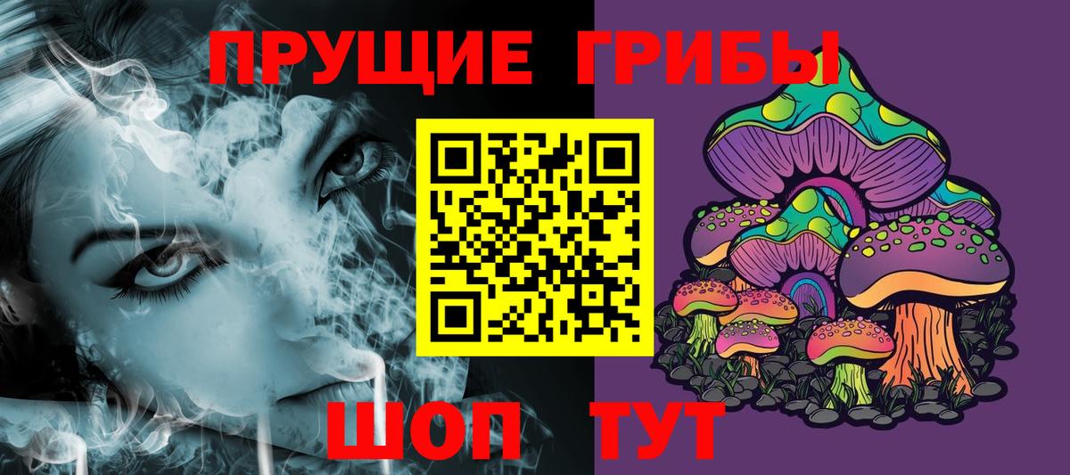 Псилоцибиновые грибы Cubensis  Острогожск  Псилоцибиновые грибы прущие грибы 