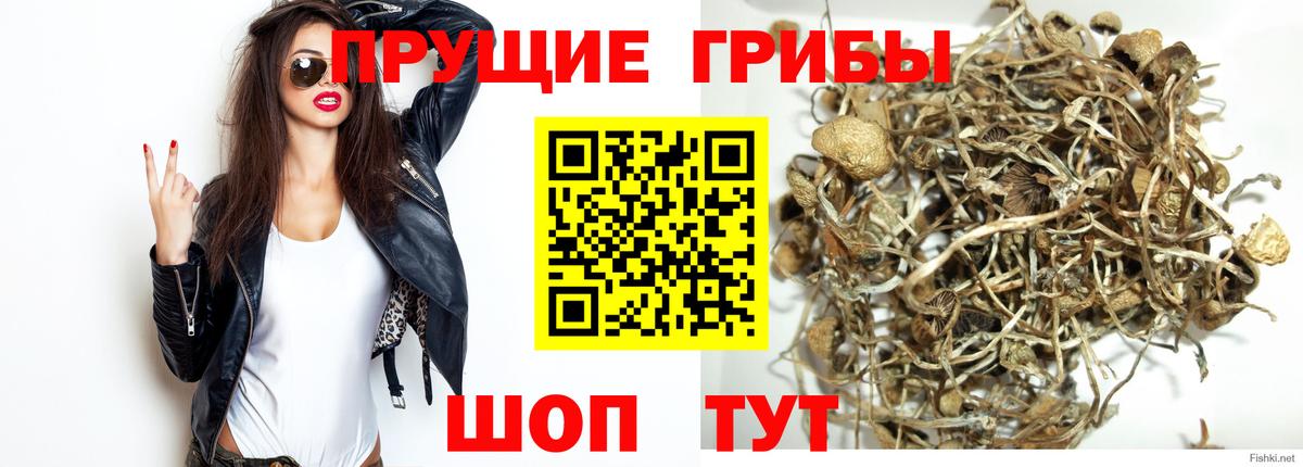 Галлюциногенные грибы Cubensis Острогожск