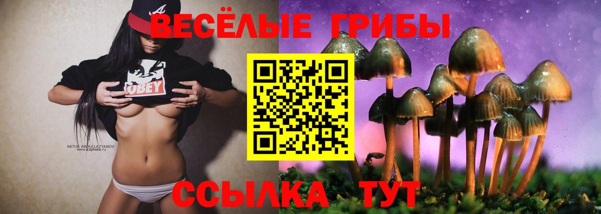 Острогожск  Псилоцибиновые грибы Cubensis  Псилоцибиновые грибы MAGIC MUSHROOMS  Вход с VPN 