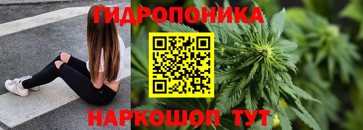 Канабис конопля  Бошки Шишки Ganja  МАРИХУАНА OG Kush  Острогожск 